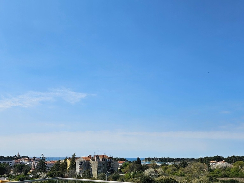 panorama-scouting-A3937-13