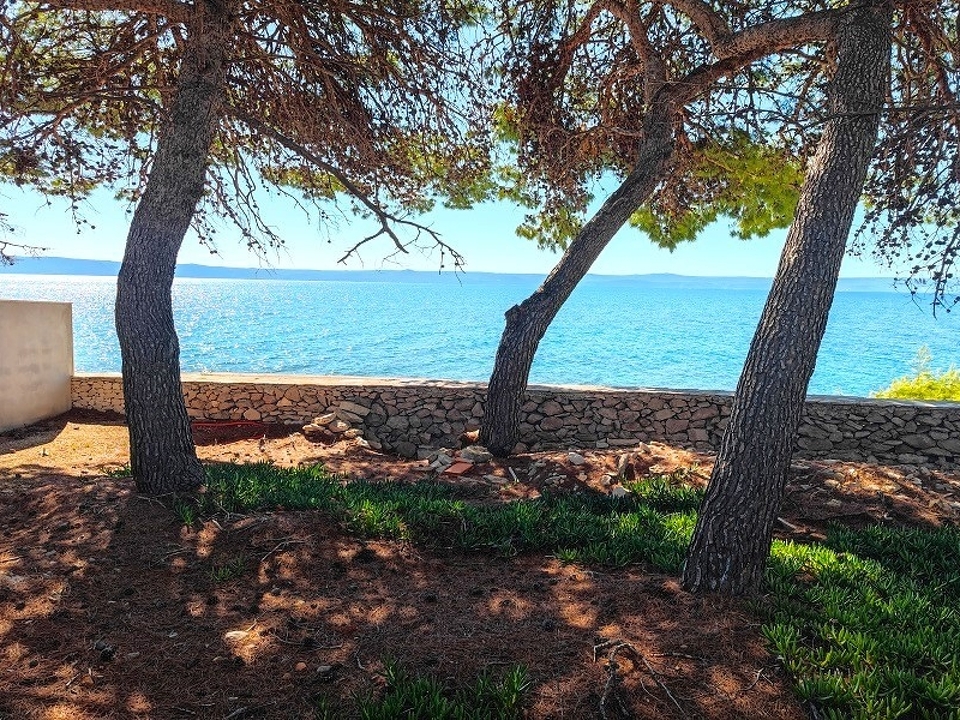 panorama-scouting-H3921-9