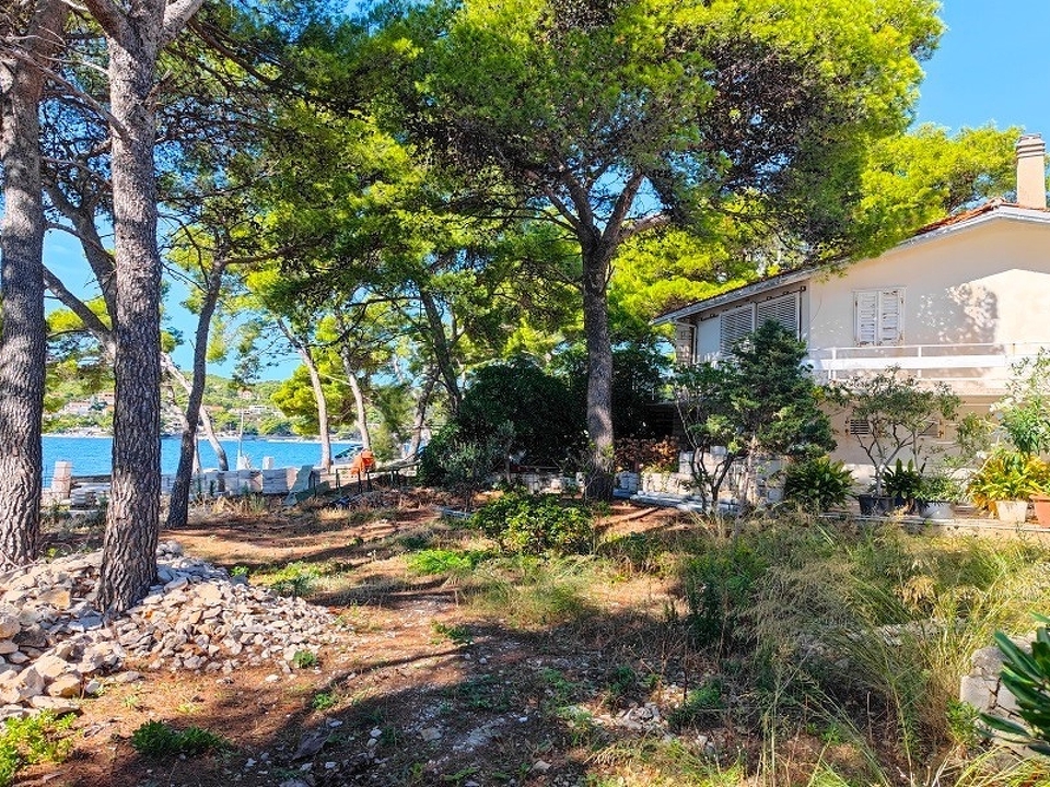 panorama-scouting-H3921-3