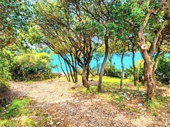 panorama-scouting-H3924-3