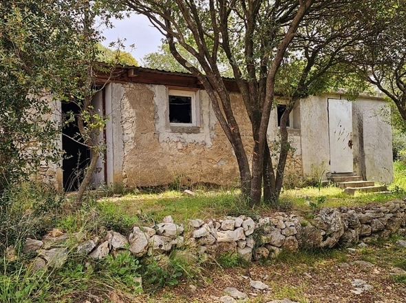 panorama-scouting-H3924-10