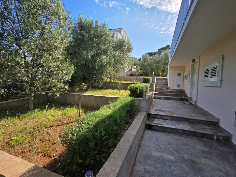 panorama-scouting-H3930-8