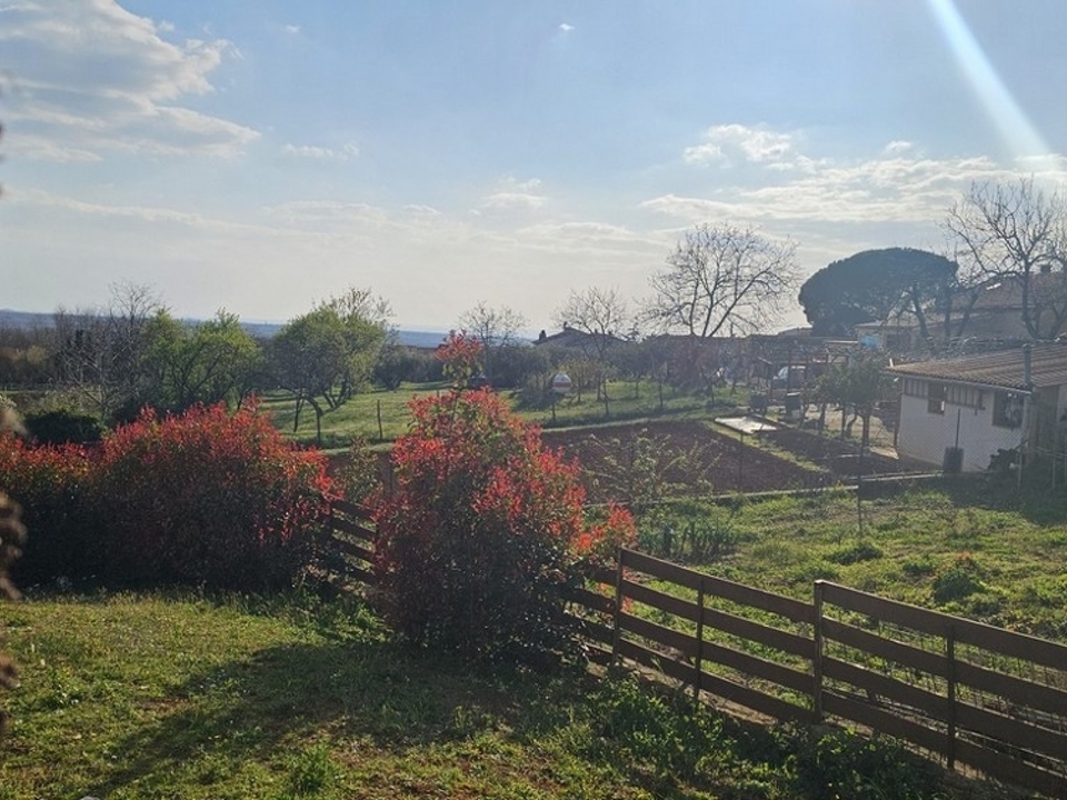 panorama-scouting-H3941-3