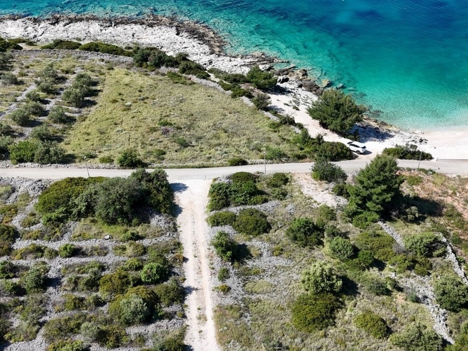 panorama-scouting-G490-4