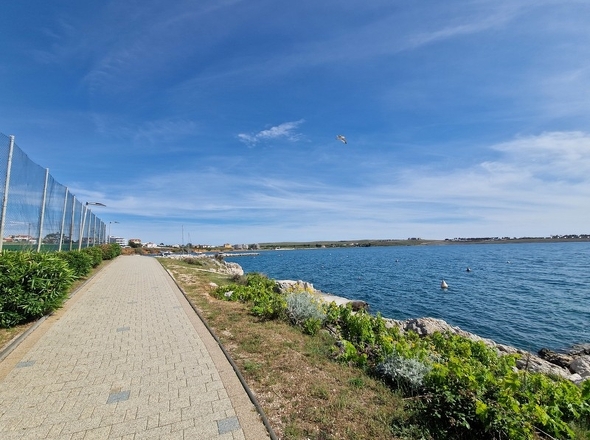 panorama-scouting-A3982-9