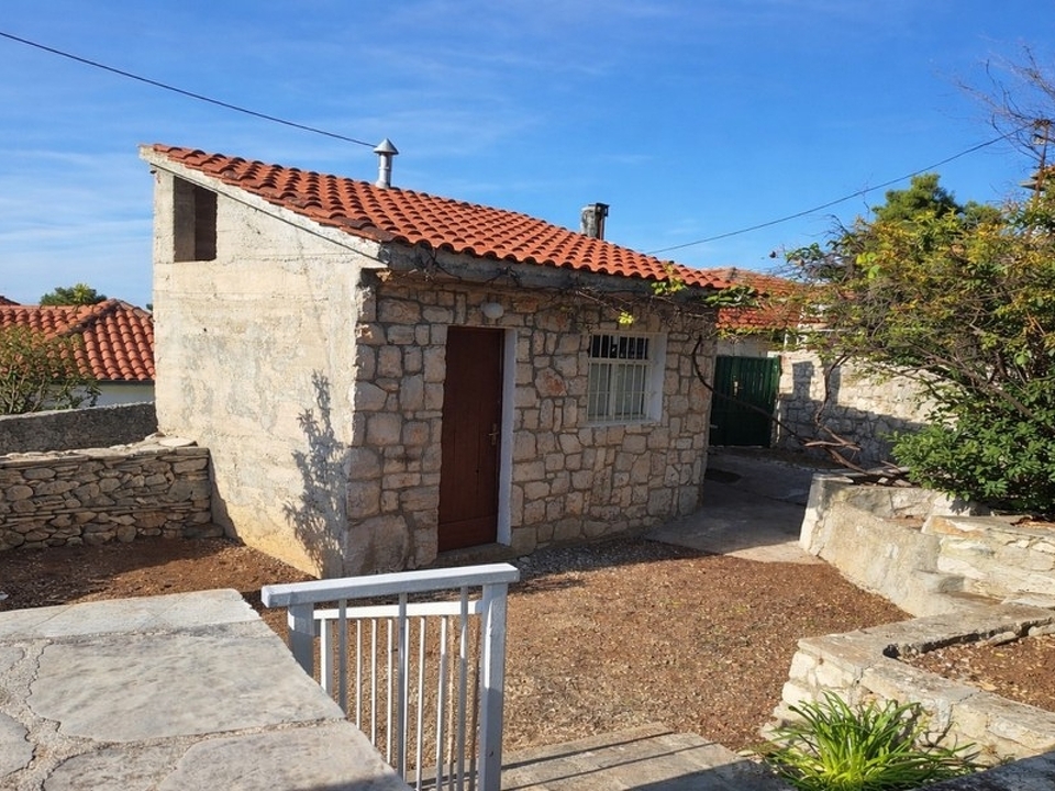 panorama-scouting-H3972-10