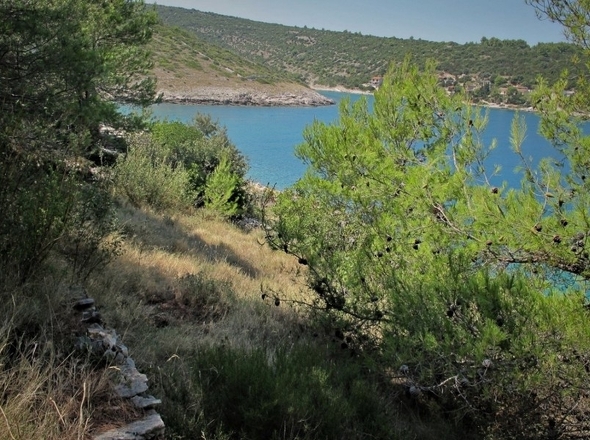 panorama-scouting-H4004-3