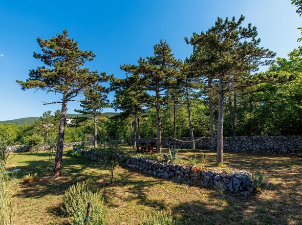 panorama-scouting-H4006-26