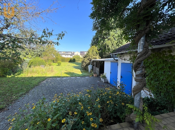 Blick in den Garten