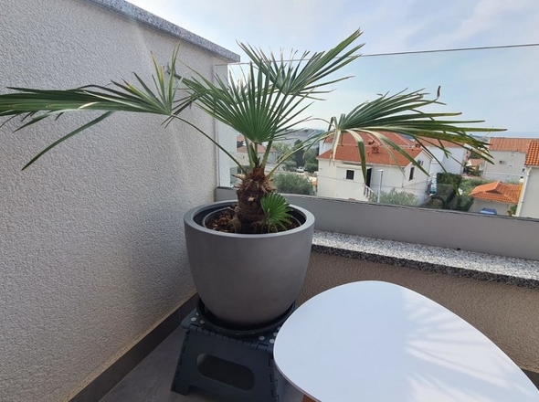 immobilien-kroatien-panorama-scouting-A2636-2