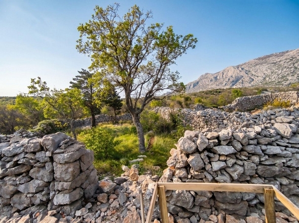 panorama-scouting-H3902-7