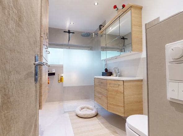 Modernes Duschbad mit Walk-In-Dusche OG