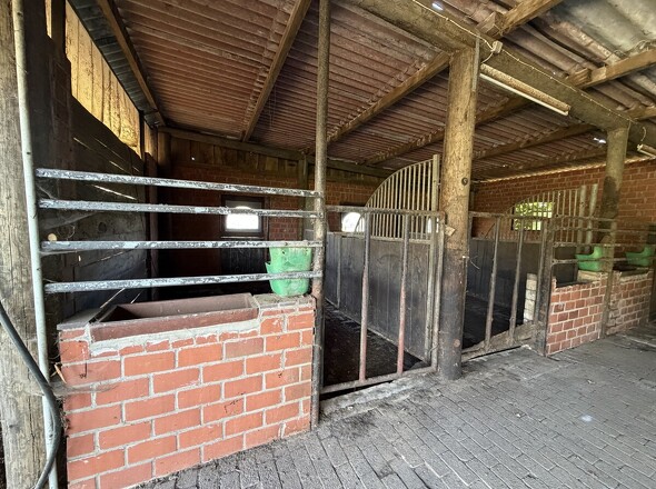 Stallung Innenaufnahme