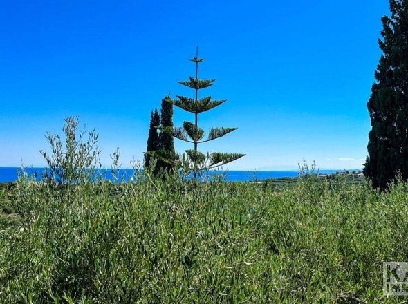 Aussicht