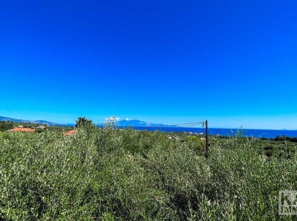 Aussicht