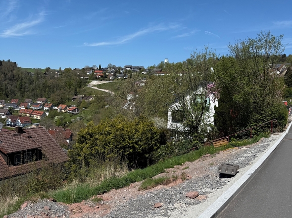 Aussicht Flst 1097
