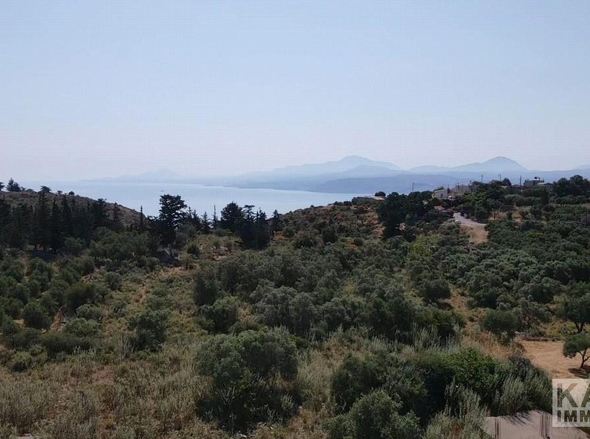 Aussicht