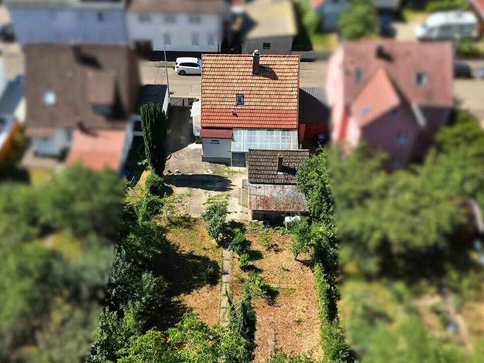 Draufsicht