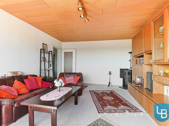 Großes Wohnzimmer