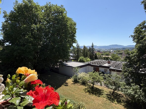 Ausblick vom Balkon OG