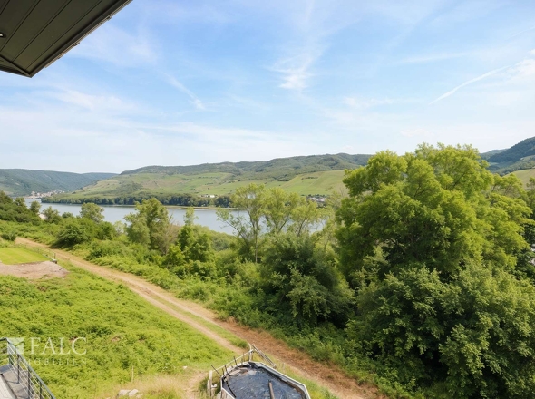 Rheinblick