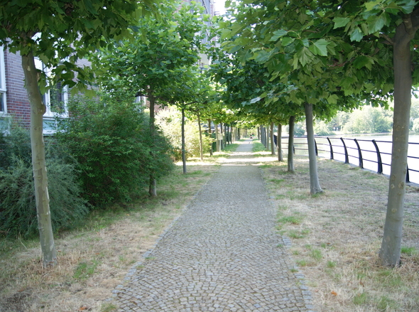 DSC00689