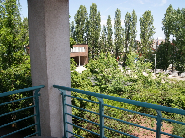 DSC00703