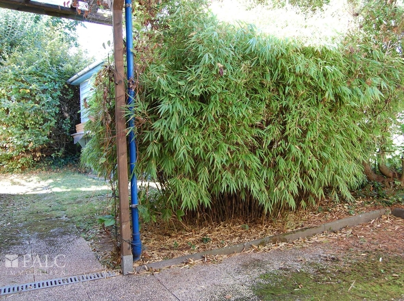 Kleine Terrasse