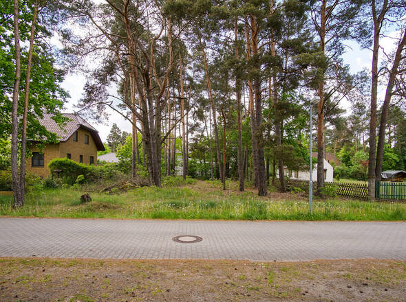 Blick frontal auf das Grudnstück 