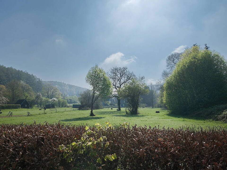 Blick ins Grüne