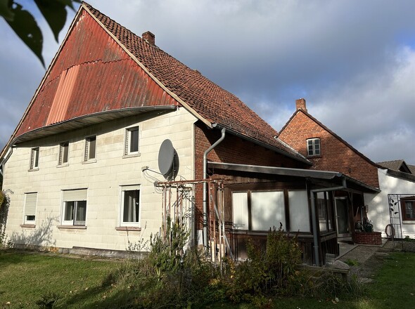 Blick aus dem Garten