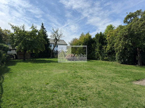 Blick in den Garten