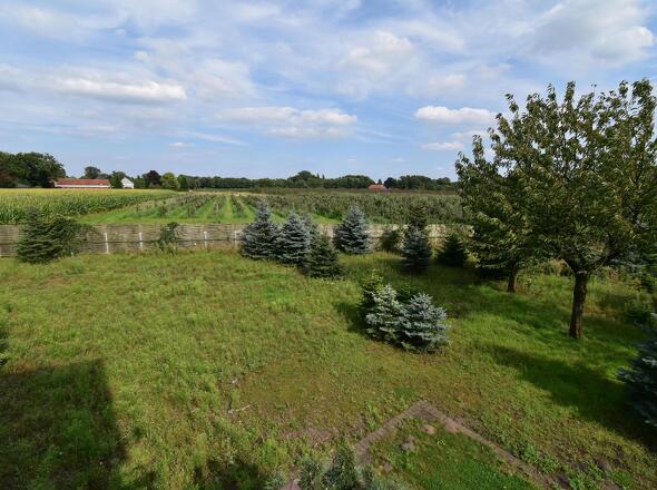 Blick vom Balkon