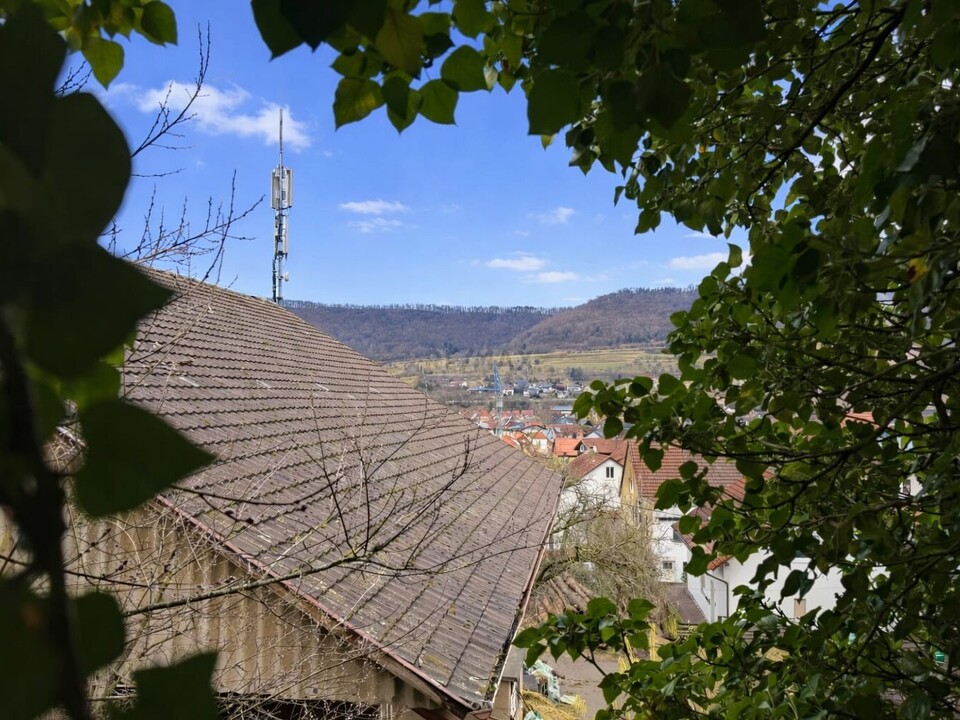 Ausblick