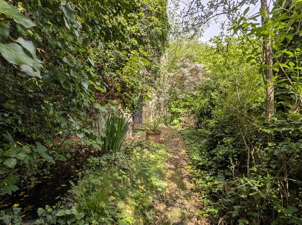 Garten 