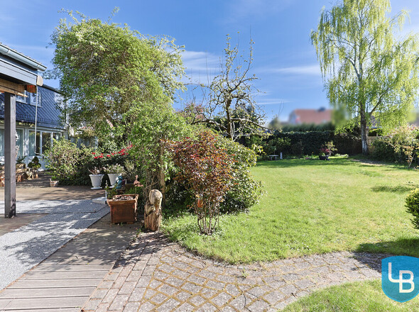 Blick in den Garten