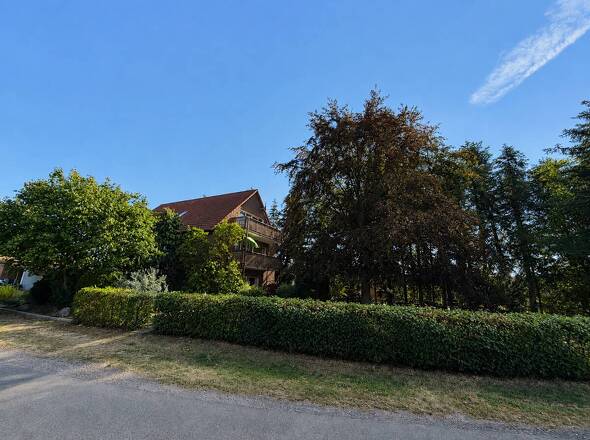 Ansicht Haus / Garten