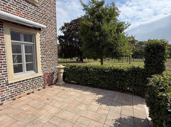 Terrasse Blick auf die Kühe 