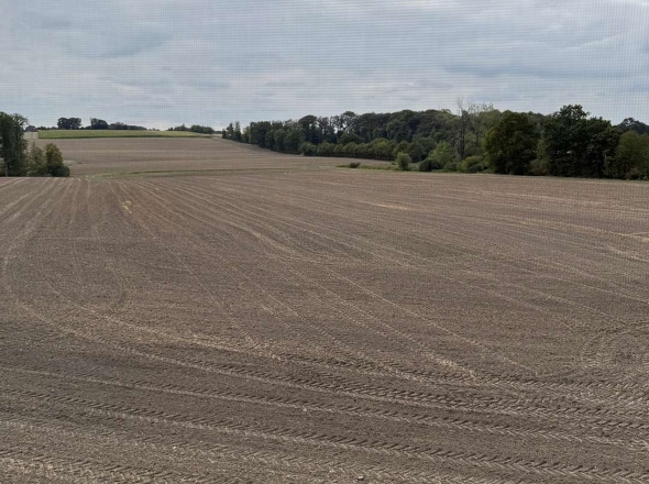 Blick vom Dachboden 