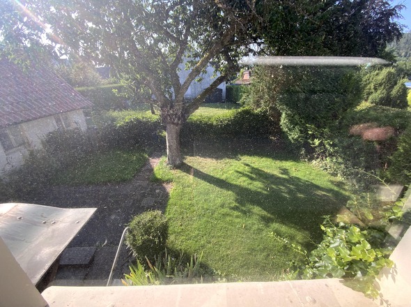 Blick in den Garten
