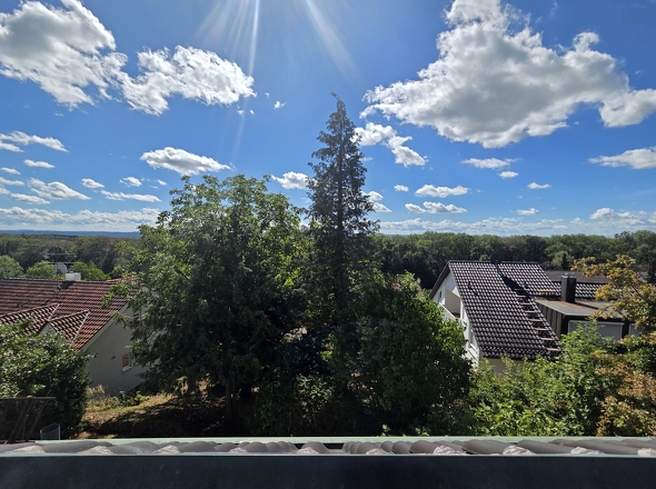 Ausblick 