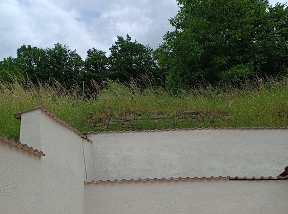  Grundstück - Terrasse