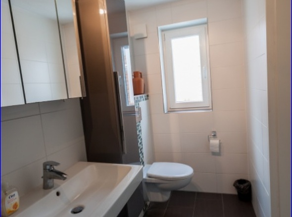 Bad Kellerapartment