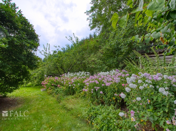Garten II