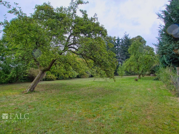 Garten III