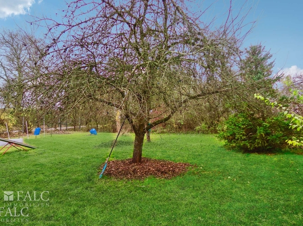 Obst-, Nuss- Garten