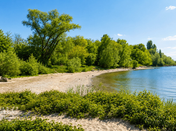 Rheinstrand 