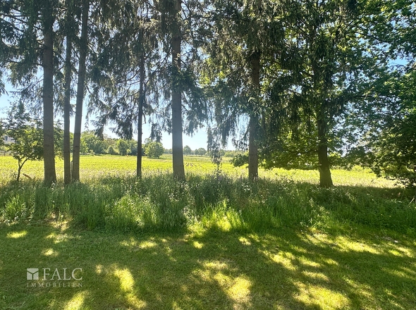 Ausblick hinter dem Garten