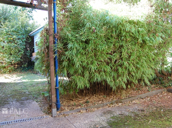 Kleine Terrasse