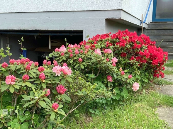 Eingang im Frühling